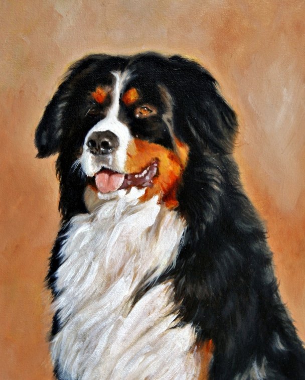 Honden portret Eli Perres
